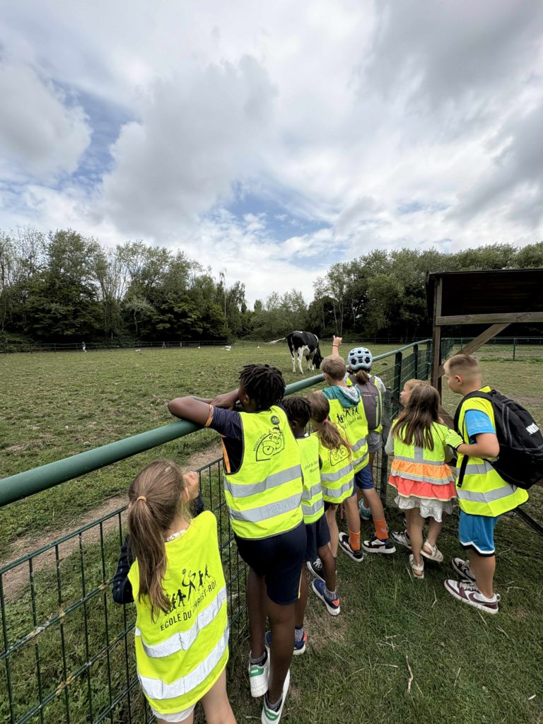 activités-grand-herseaux